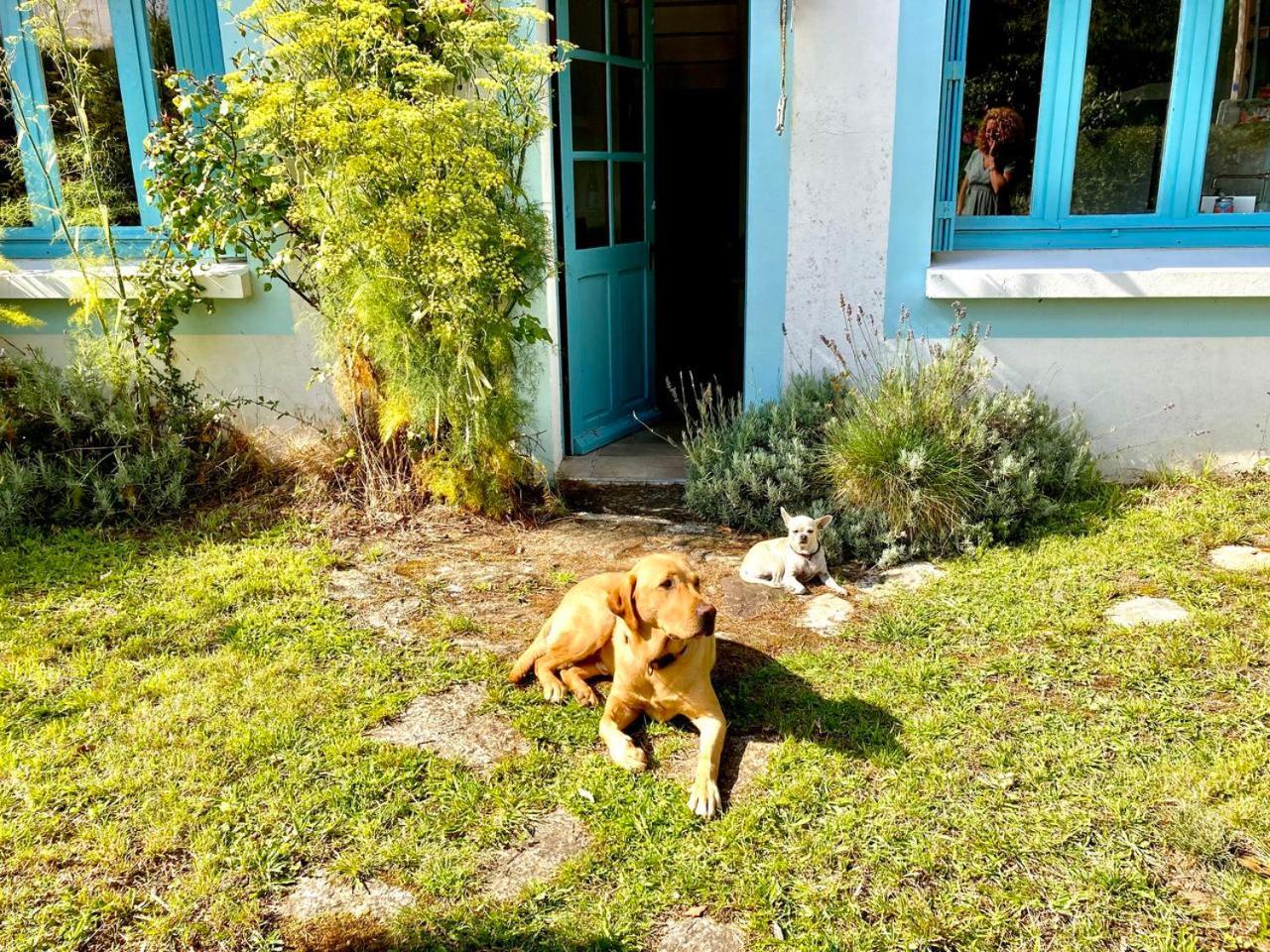 Penty Legona, Authentique Et Chaleureux, 2-6 Pers Villa Moëlan-sur-Mer Exterior foto